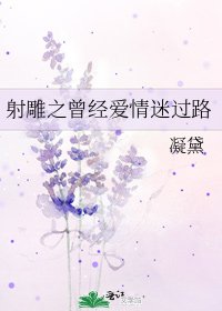 射鵰之曾經愛情迷過路